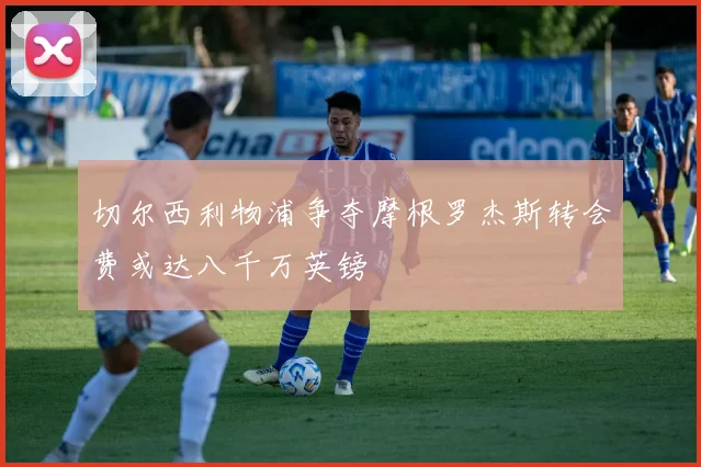 切尔西利物浦争夺摩根罗杰斯转会费或达八千万英镑