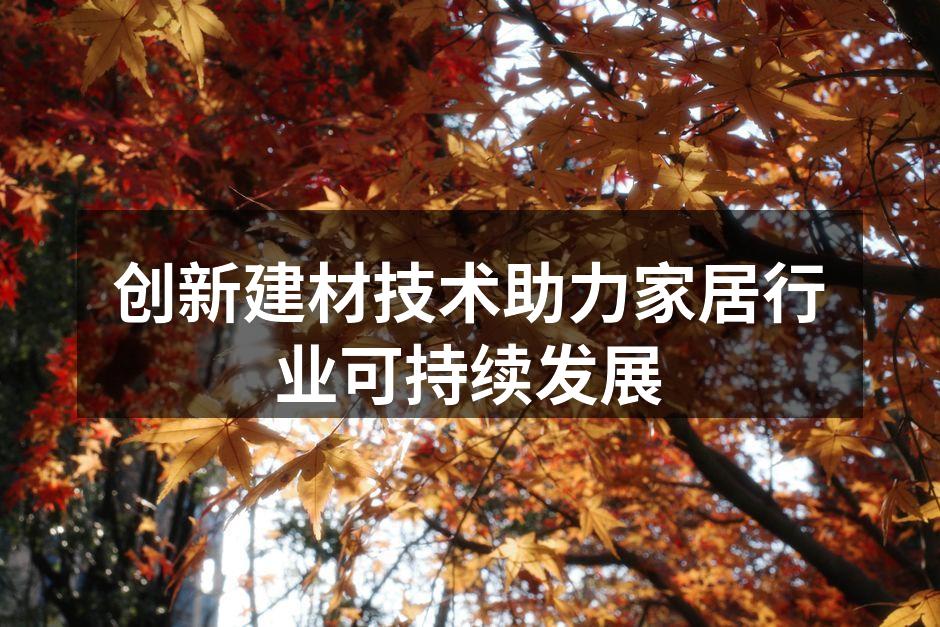 创新建材技术助力家居行业可持续发展